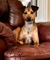 Duke