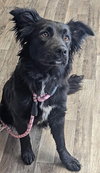 Della