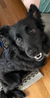 Della