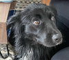 Della