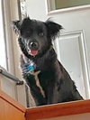Della