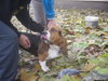 Humphrey
