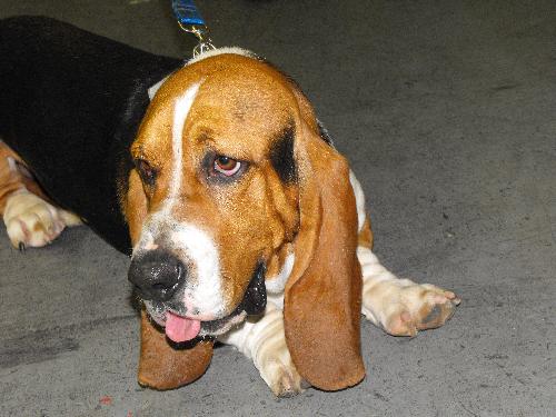Humphrey