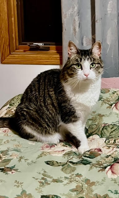 Rosie