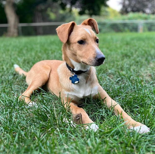 Zola