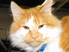 Howard