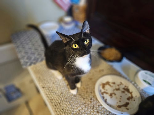 Salem