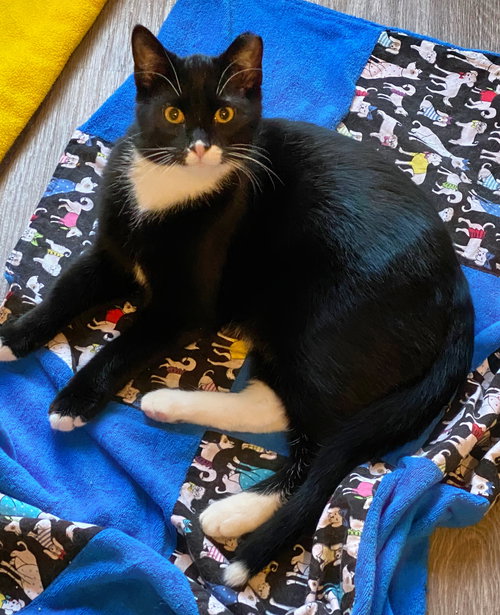 Mittens