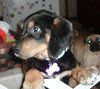 Athena