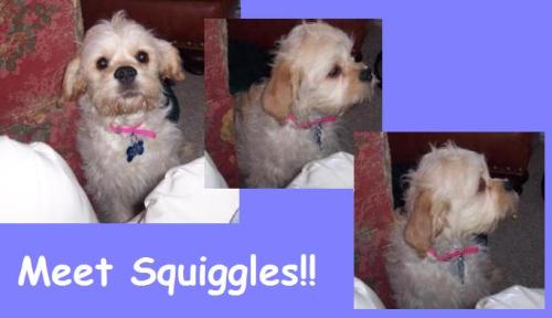 Squiggles