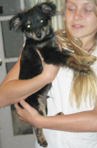 Little Eddy