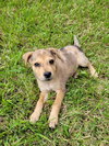 Dottie Maria