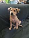 Dottie Maria