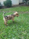 Dottie Maria