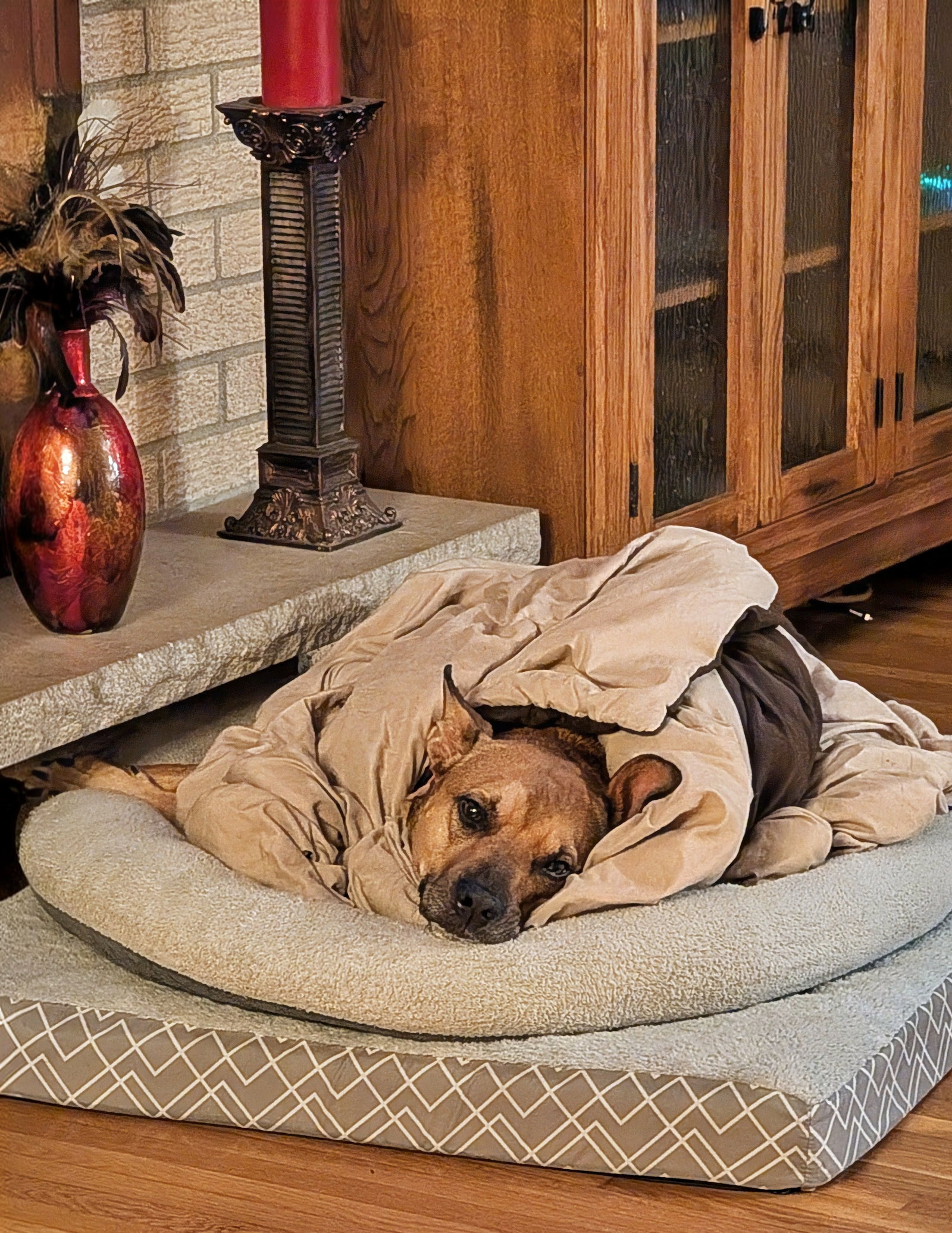 Penny