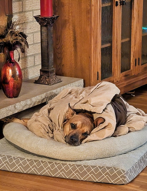 Penny