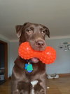 Gunther