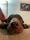 Gunther