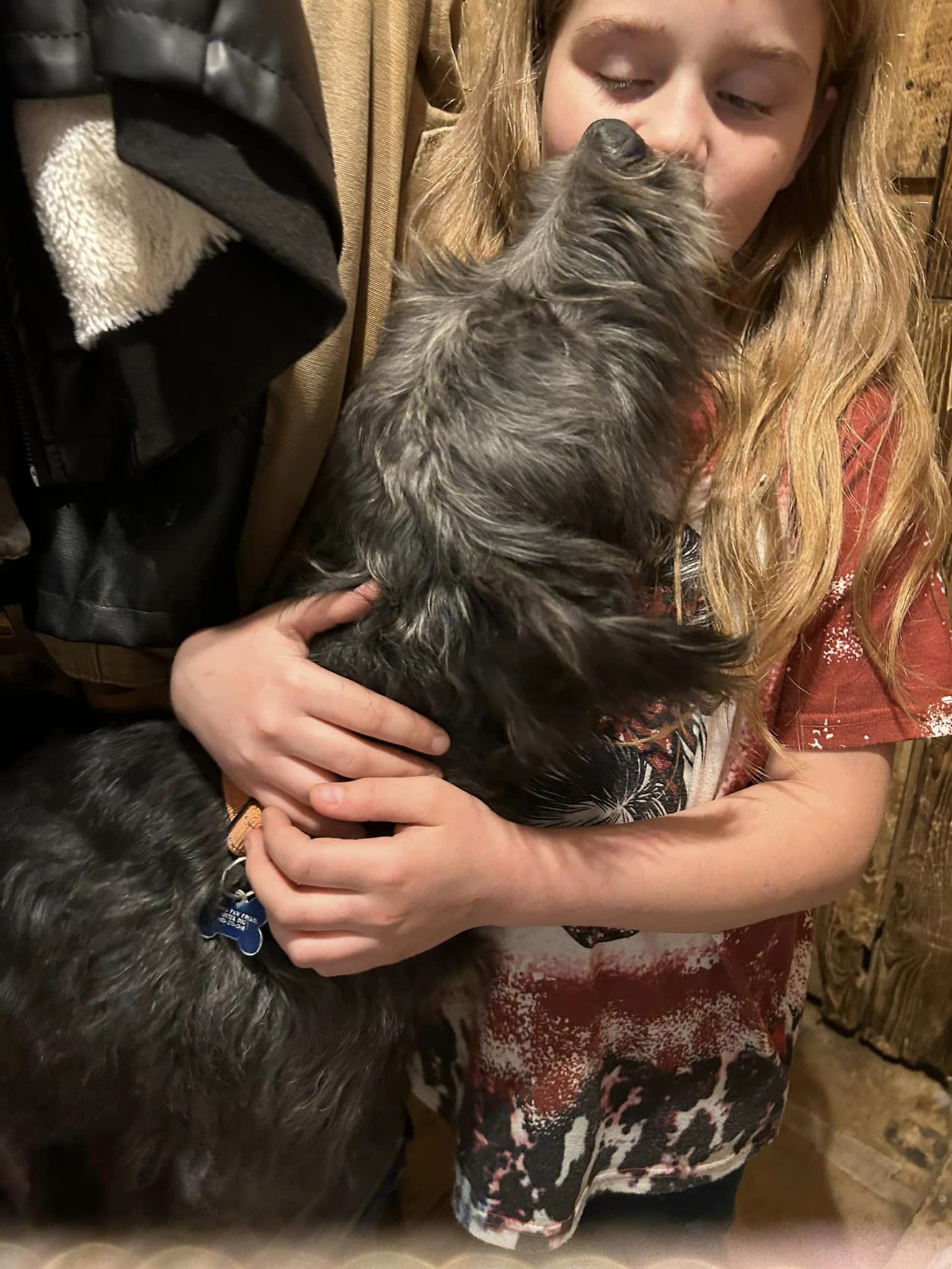 Dog for Adoption Ely, a Wirehaired Pointing Griffon in Brooklyn Park