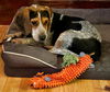 Baxter