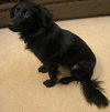 Ben