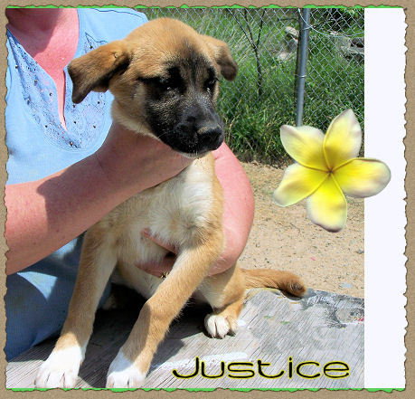 Justice