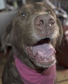 Margo