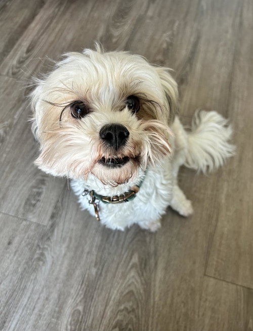 Milo