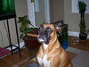 Tyson