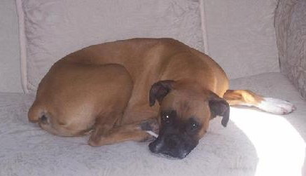 Tyson