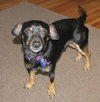 Rosko