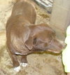 Stubby