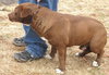 Stubby