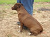 Stubby