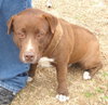 Stubby