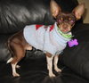 Rockie