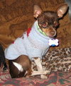 Rockie
