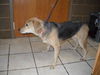 Eloise
