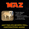 adoptable Dog in , MN named Maz