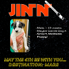 adoptable Dog in , MN named Jinn