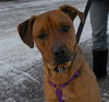 Ruby Sue