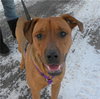 Ruby Sue