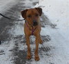 Ruby Sue