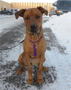 Ruby Sue