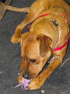Ruby Sue