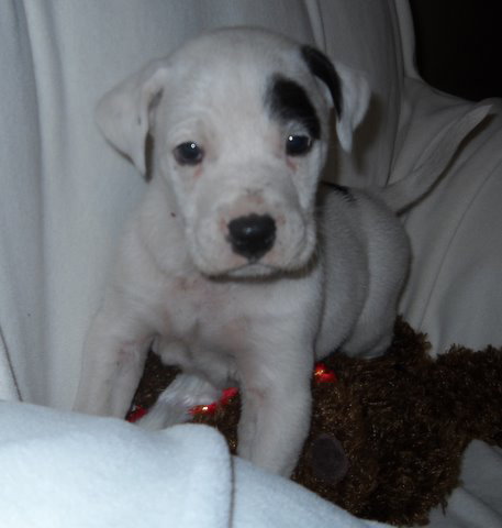 Roscoe A