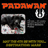 Padawan