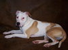 Shiloh