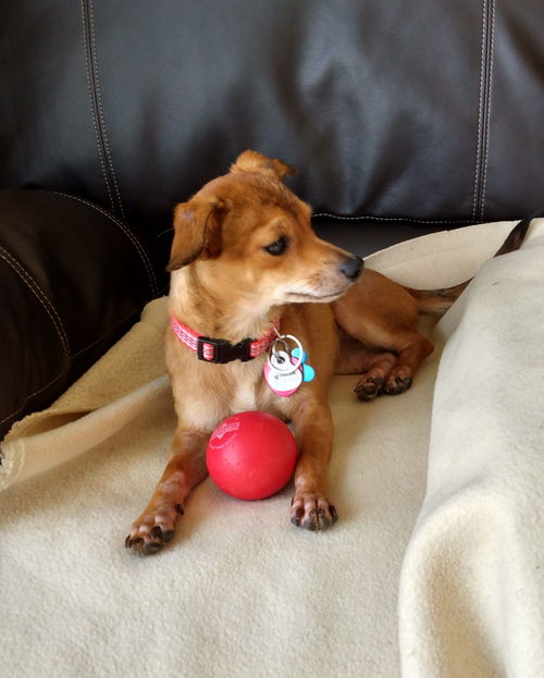 Naya