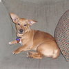 Roxanne